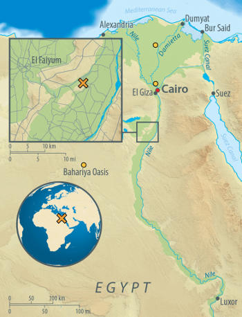 Map of Egypt, showing the archaeological site of Abusir-el Meleq (orange X), and the location of the modern Egyptian samples used in the study (orange circles).